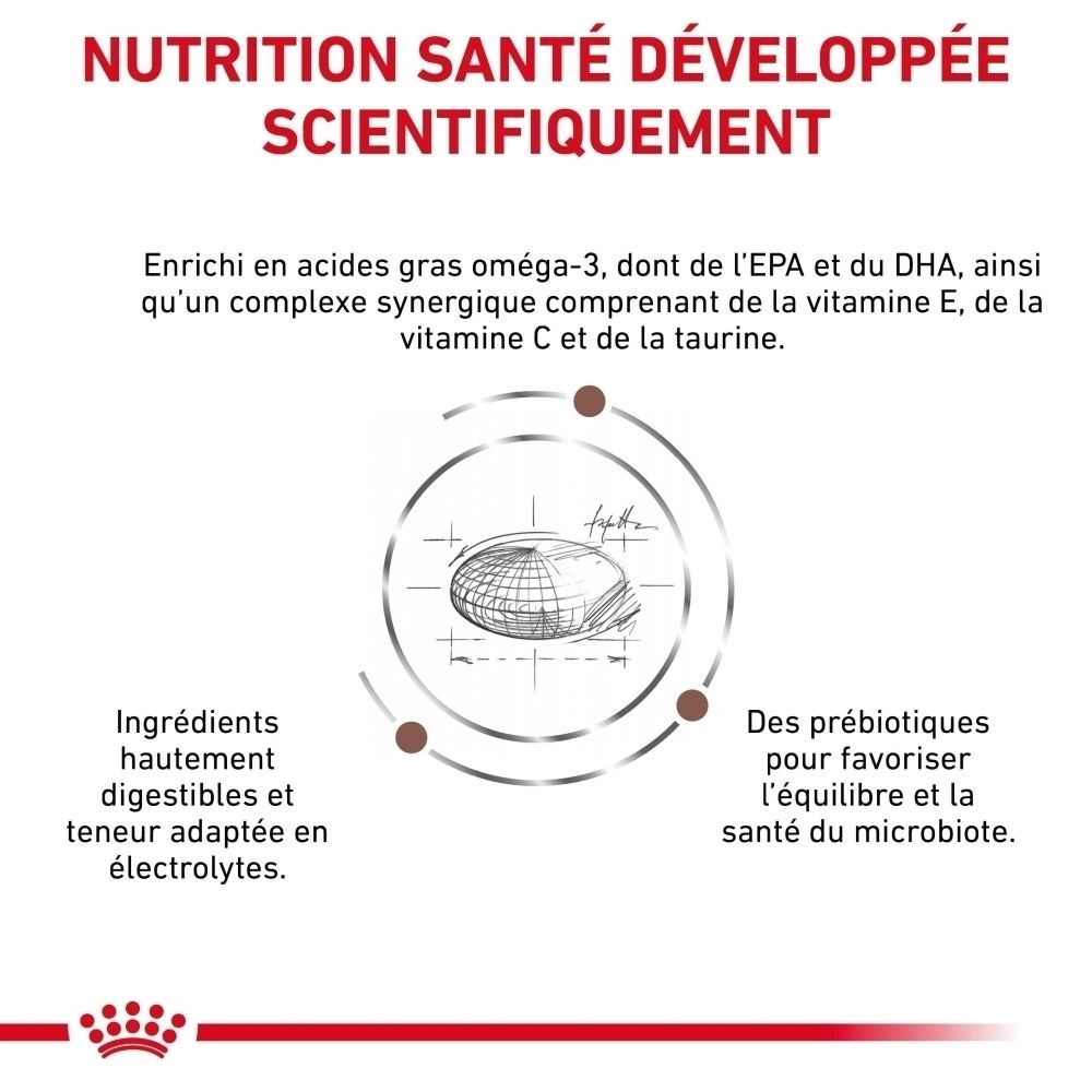 Explication scientifique des nutriments dans Royal Canin Veterinary Gastrointestinal High Fibre pour chien.