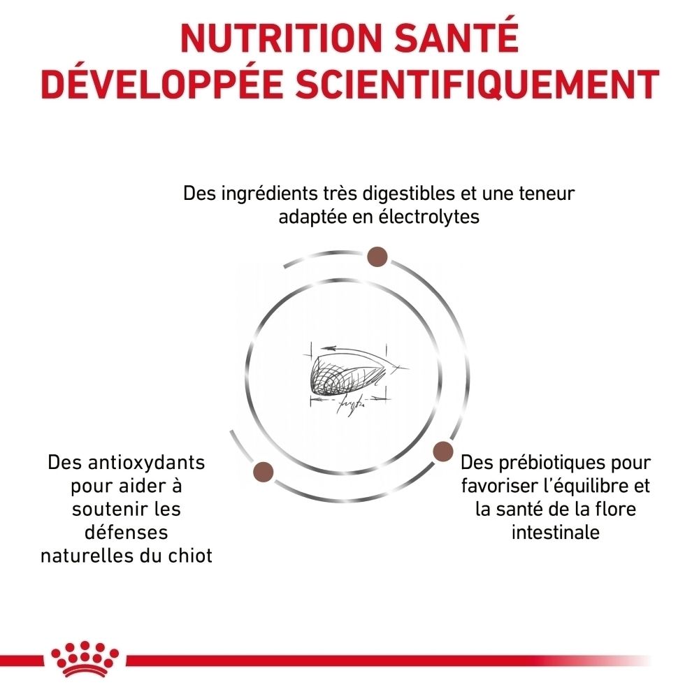 Graphique avec texte sur la nutrition, les antioxydants et les prébiotiques pour chiens.