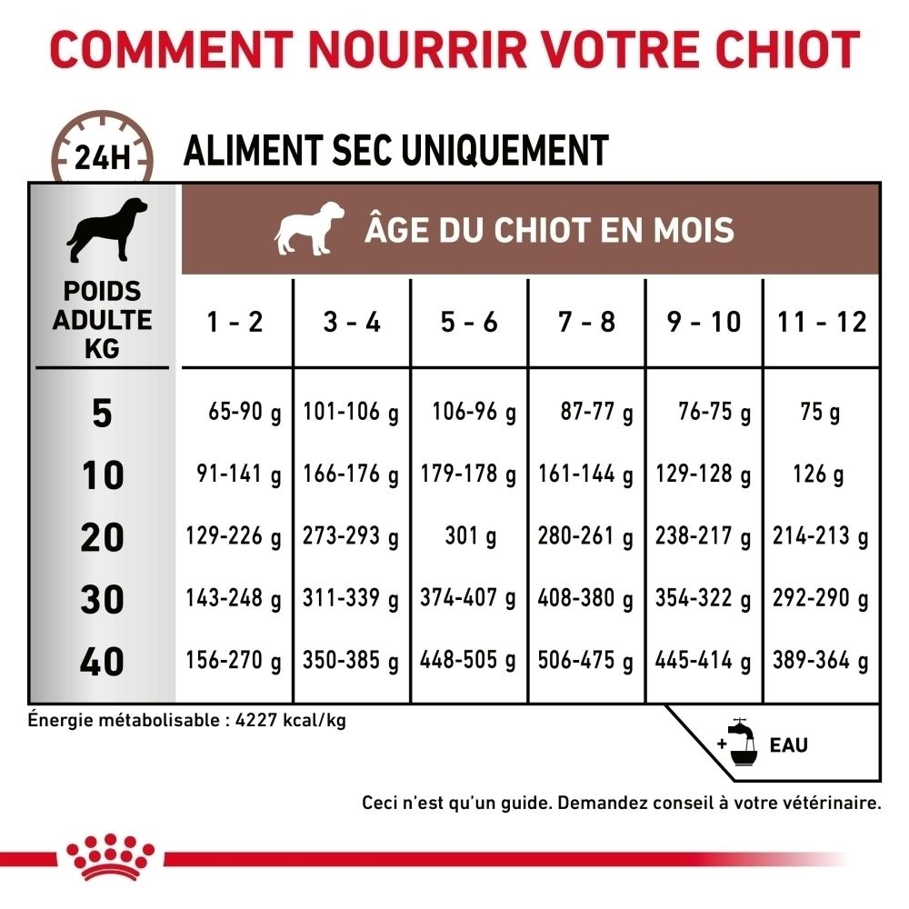 Guide d'alimentation pour chiots : Quantité de nourriture sèche en grammes selon l'âge et le poids du chien.
