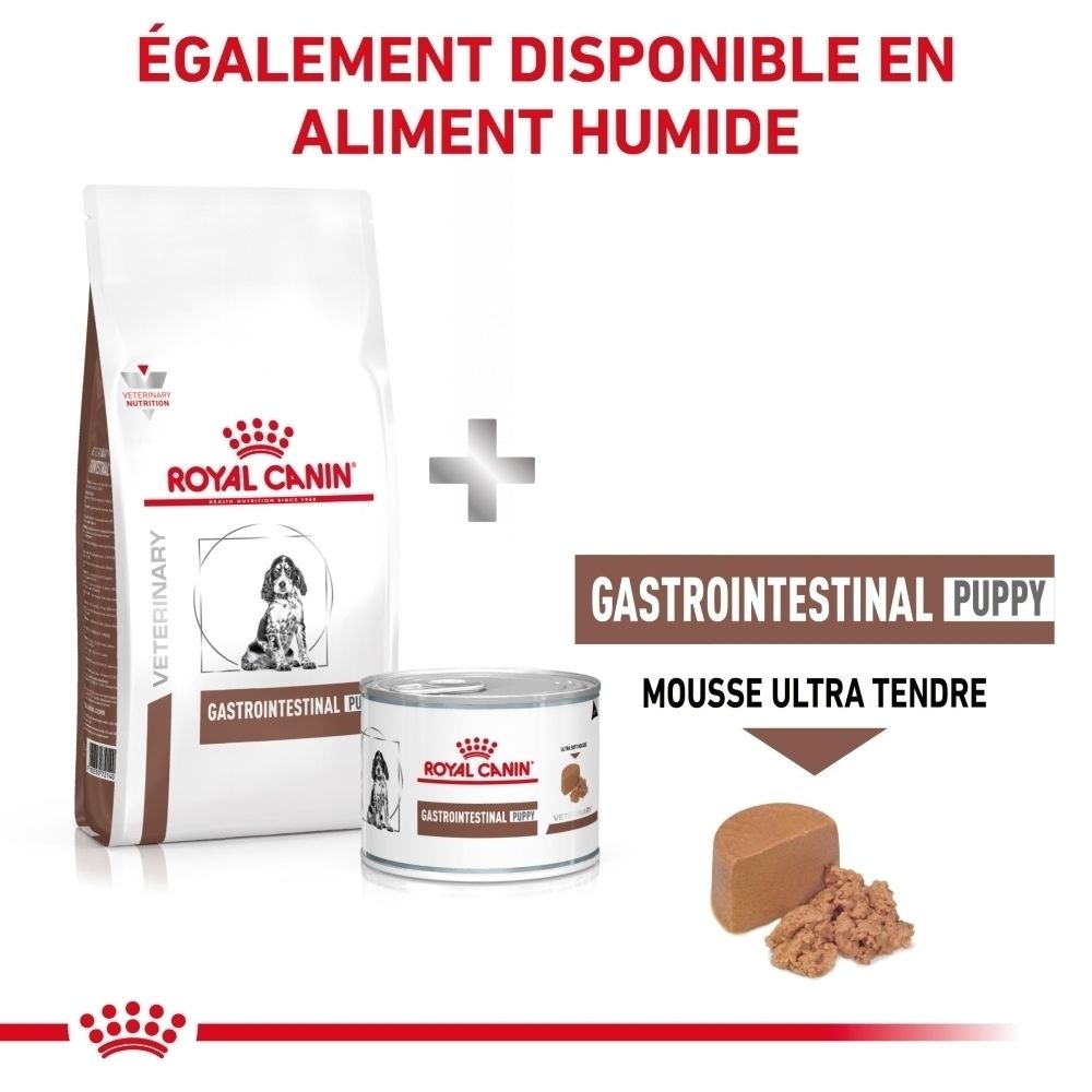 Sac de croquettes Royal Canin Gastrointestinal Puppy et boîte de nourriture humide. Un morceau de mousse et des miettes à côté.