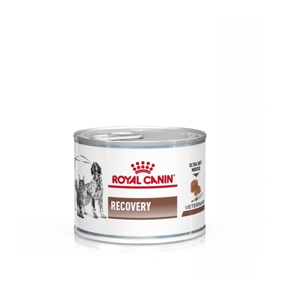 Une boîte de nourriture vétérinaire ROYAL CANIN® Recovery.