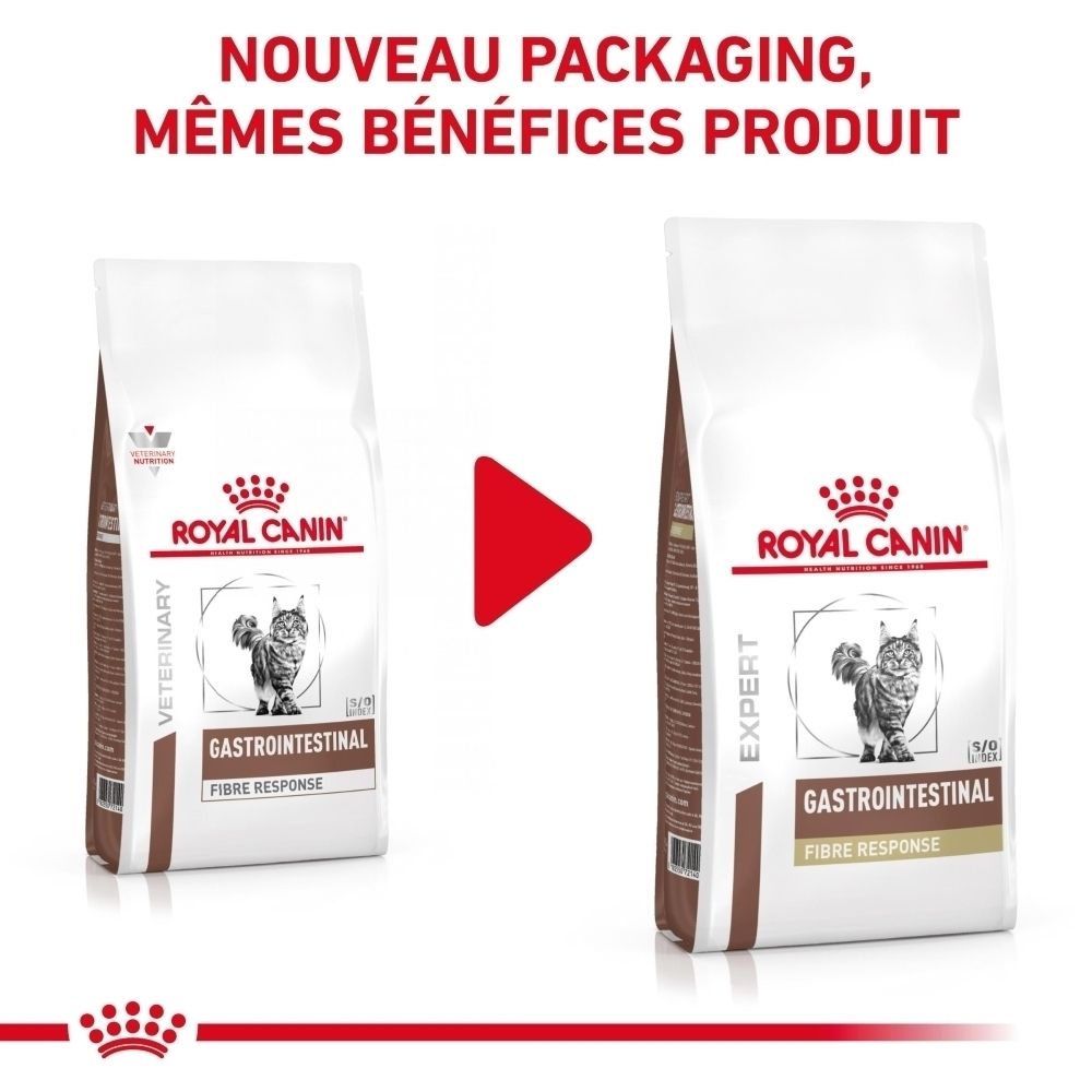 Graphique expliquant les problèmes digestifs chez le chat et le rôle des fibres.