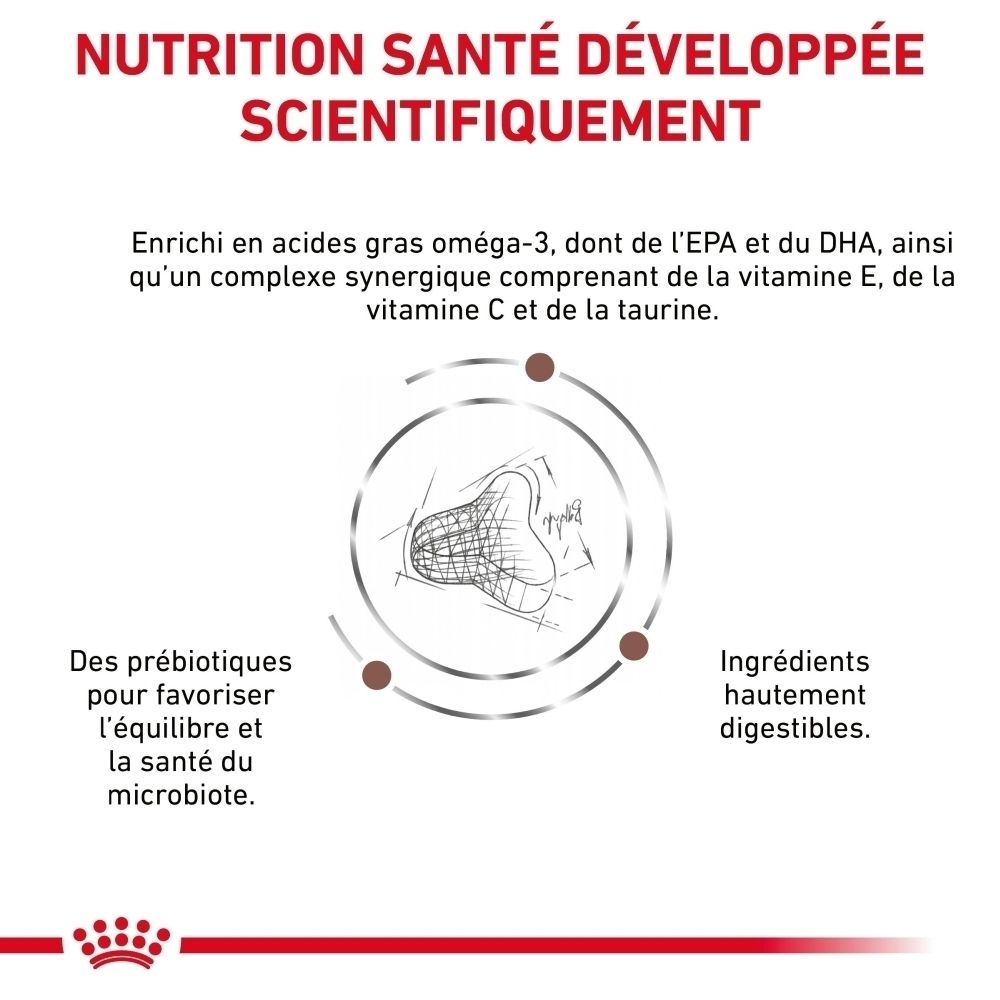 Graphique expliquant les bénéfices produit : Transit facilité, teneur adaptée en énergie, soutien digestif.