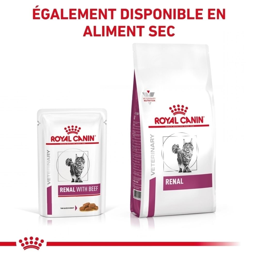 ROYAL CANIN VETERINARY RENAL WITH BEEF et alimentation sèche.