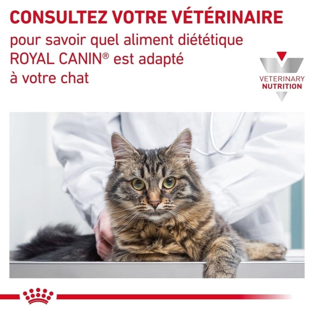 ROYAL CANIN VETERINARY RENAL WITH BEEF et alimentation sèche.