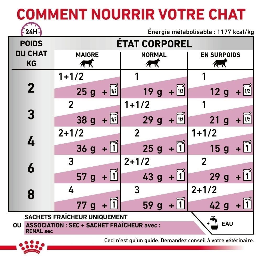 ROYAL CANIN Veterinary Renal Chicken Sachet individuel avec contenu en sauce.