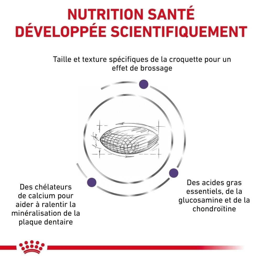 Royal Canin Expert Dental : Nutrition développée scientifiquement.