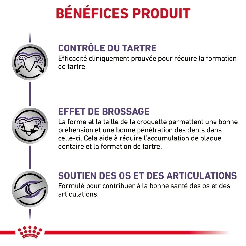 Royal Canin Expert Dental : Bénéfices produit, contrôle du tartre et soutien articulaire.