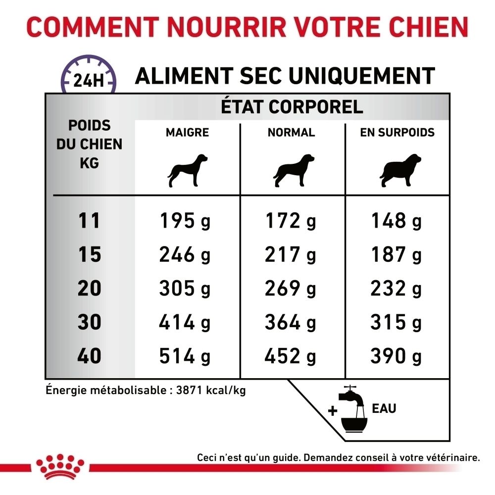 Guide d'alimentation Royal Canin Expert Dental pour chiens selon le poids.