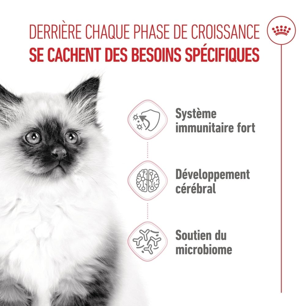 Sac de nourriture Royal Canin Kitten, 10kg. Emballage rose et blanc avec une image de chaton.