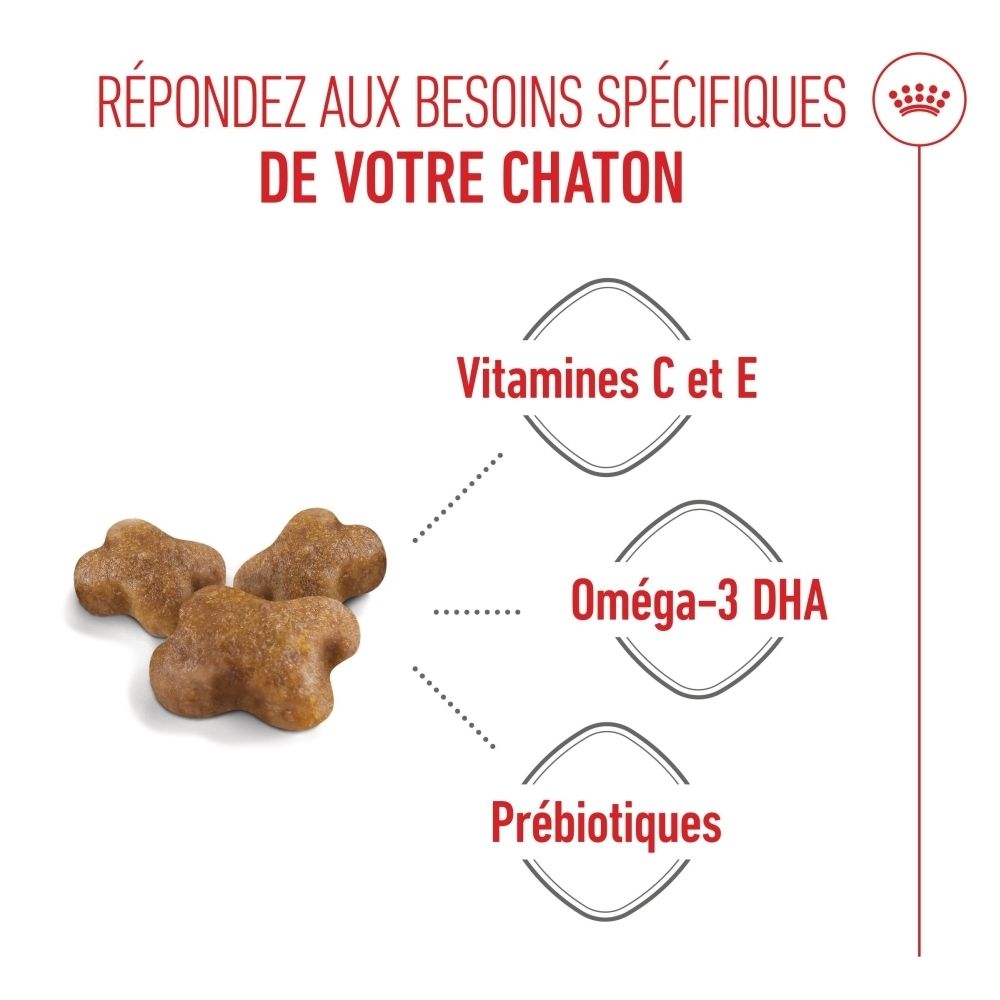 Nourriture Royal Canin Kitten. Gros plan d'un chaton avec des icônes pour le système immunitaire et le développement du cerveau.