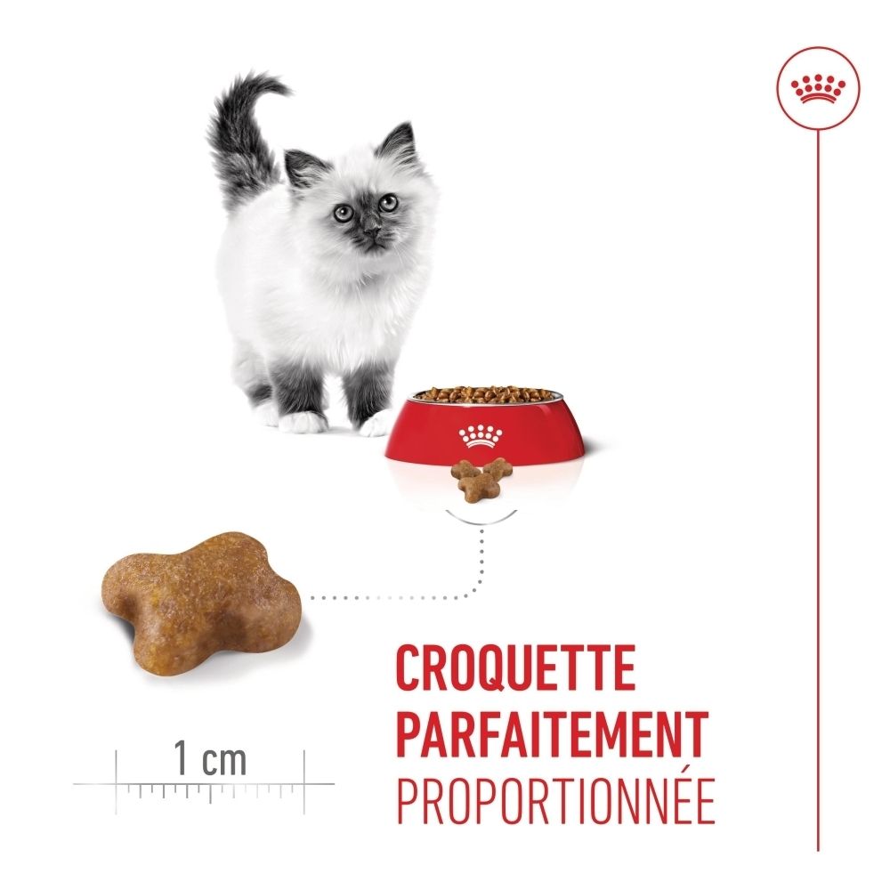 Nourriture Royal Canin Kitten. Croquette avec des icônes pour les vitamines C, E, Oméga-3 DHA et prébiotiques.