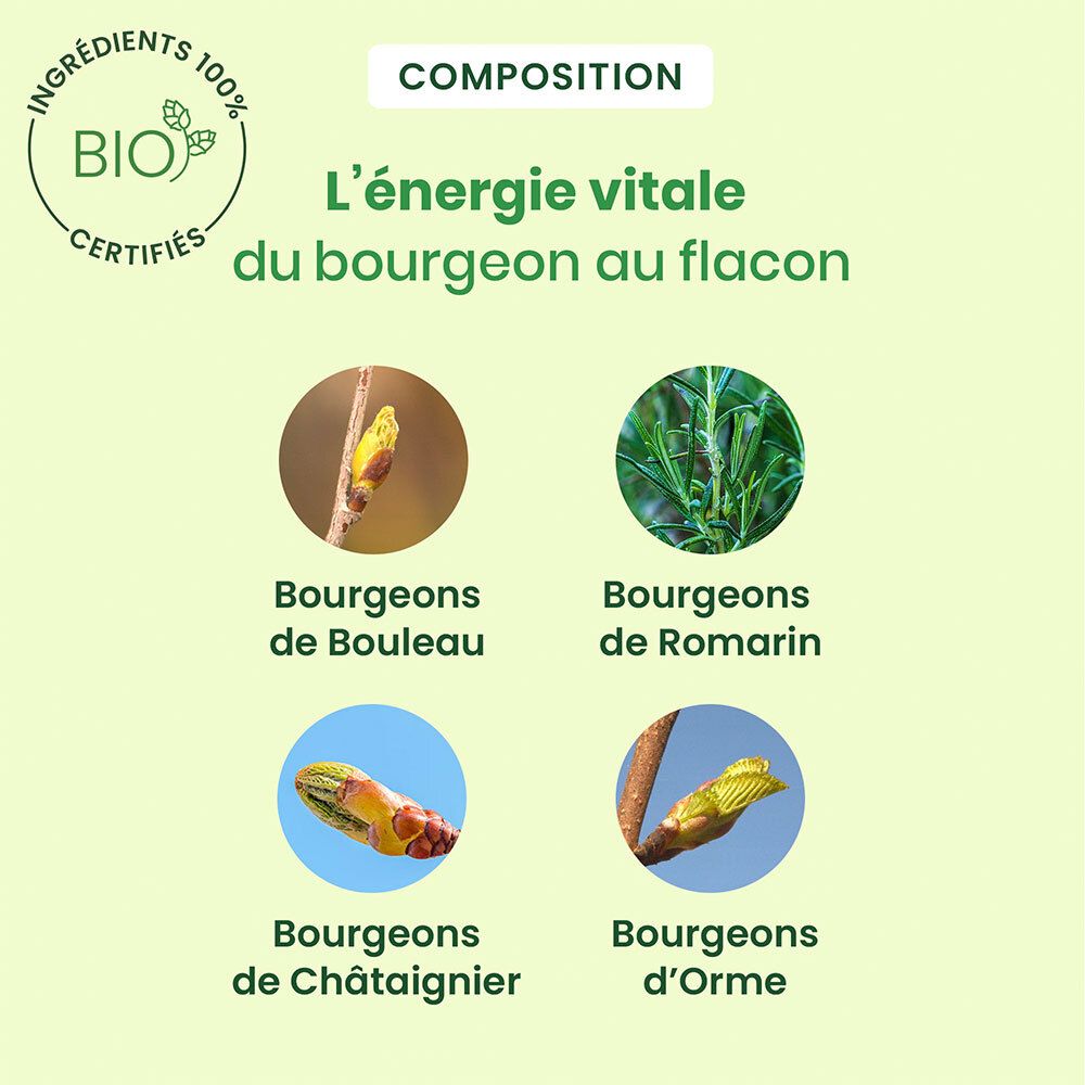 HERBALGEM - Detox Express 7 Jours - Purifie L'Organisme En Profondeur - Complément Alimentaire Gemmothérapie - Formule Hautement Concentrée - Action Globale - 5 Bourgeons Frais - Bio - 7x10ml
