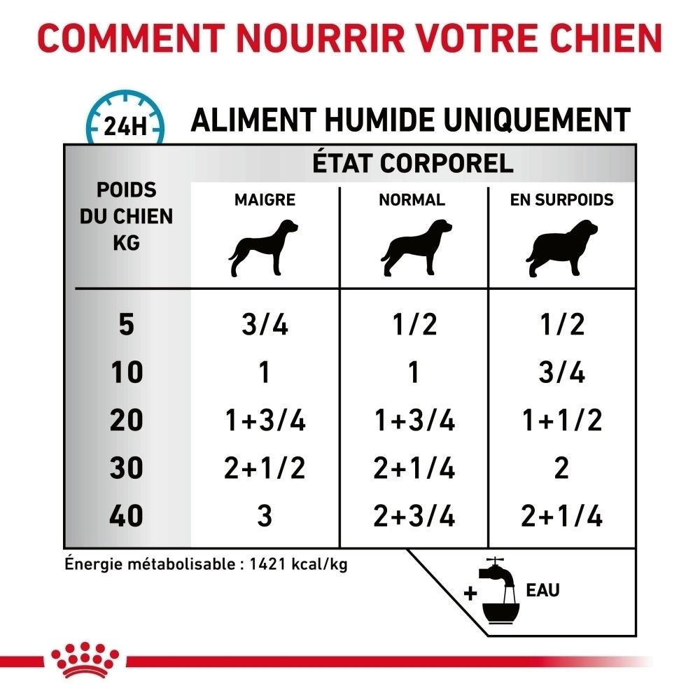 Tableau d'alimentation pour chiens : poids, état corporel (maigre, normal, surpoids) et quantité de nourriture en tasses. Inclut les calories.