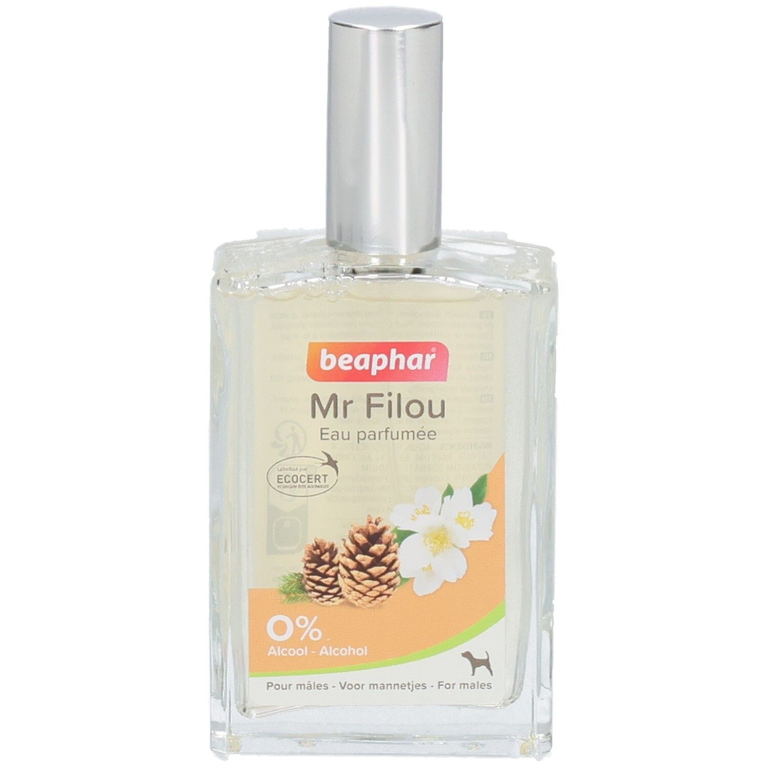 Flacon de parfum Beaphar Mr Filou. Forme rectangulaire, bouchon argenté. Étiquette avec nom, logo, pommes de pin et fleurs.