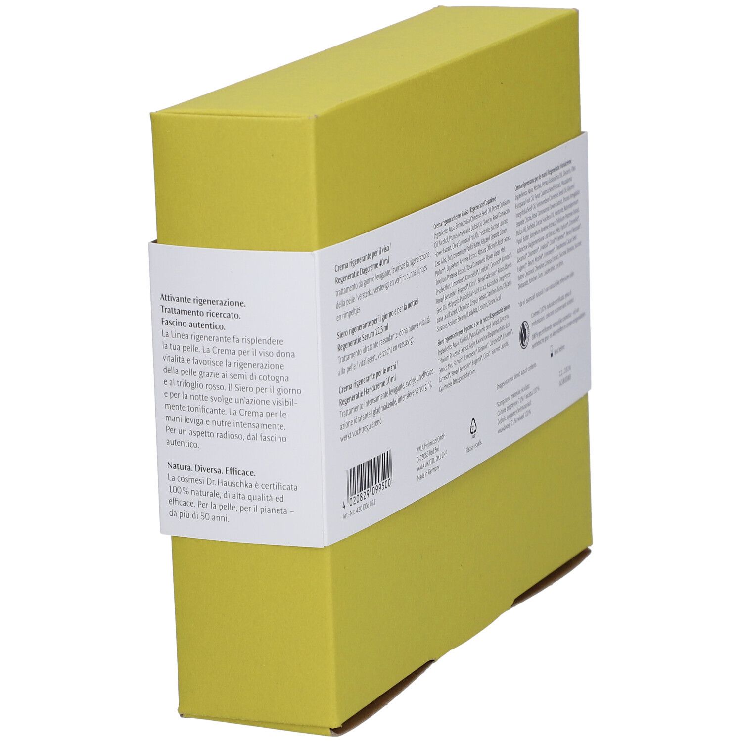 Coffret cadeau Dr. Hauschka. Inscription: Beauté Intemporelle. Informations sur les ingrédients et l'utilisation.