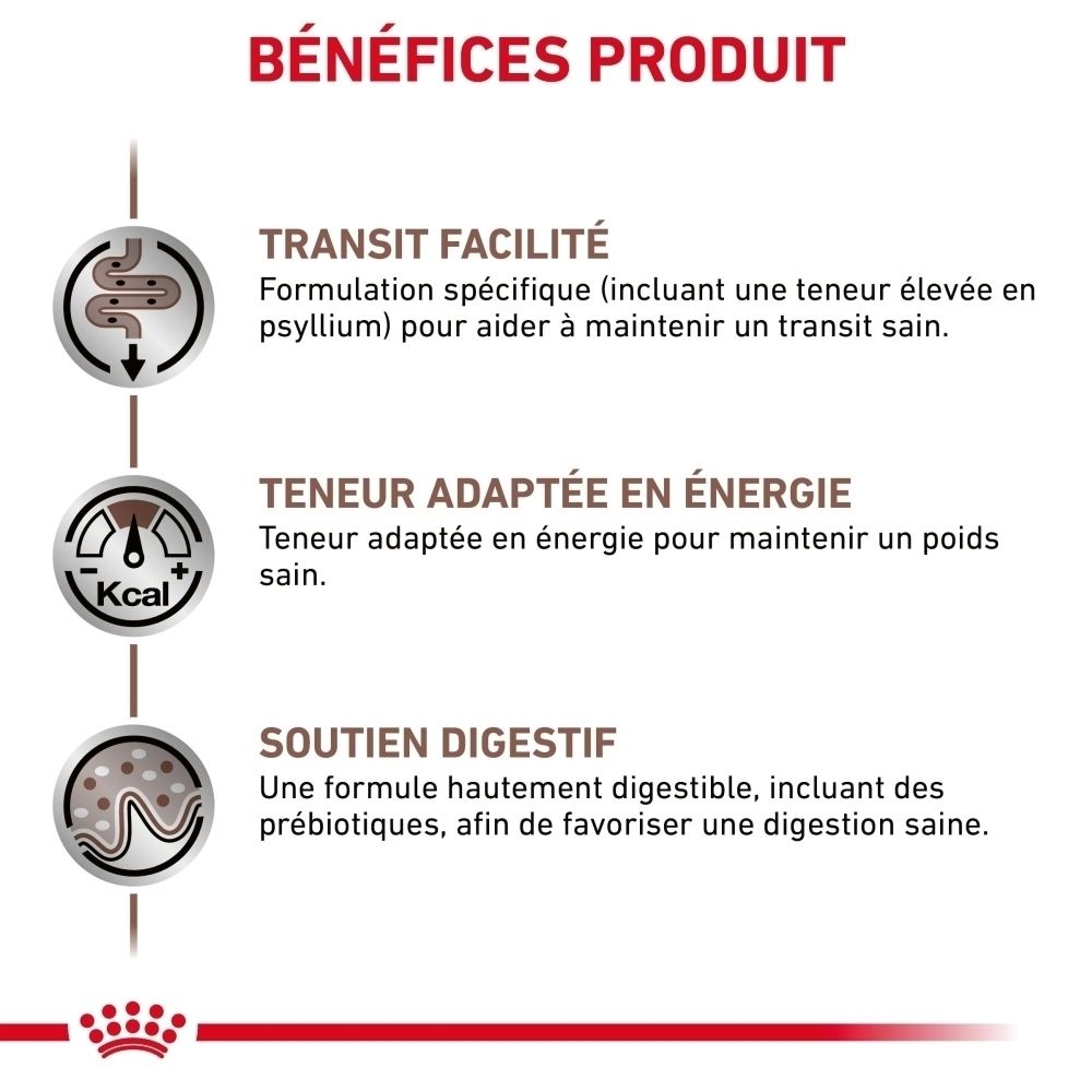 Infographie des bénéfices produit : transit facilité, teneur adaptée en énergie, soutien digestif.