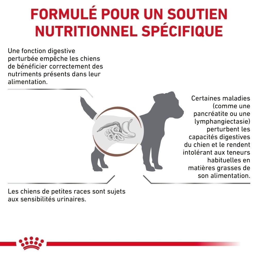 Graphique : Système digestif d'un chien expliquant les troubles digestifs.