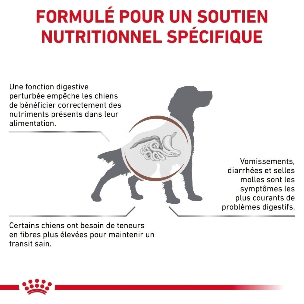 Illustration d'un chien mettant en évidence le système digestif, montrant des problèmes digestifs tels que vomissements et diarrhées.