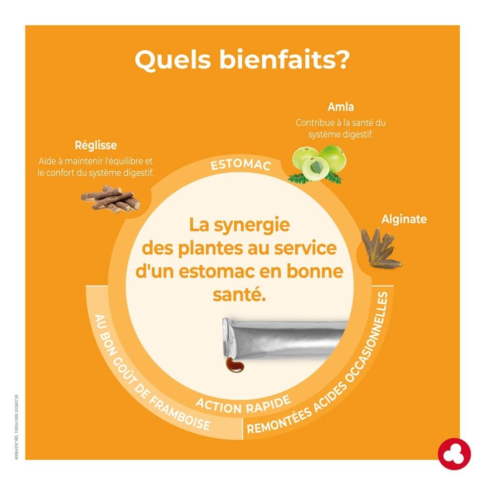 Graphique avec ingrédients et informations sur Ortis Minacia Forte pour l'estomac.