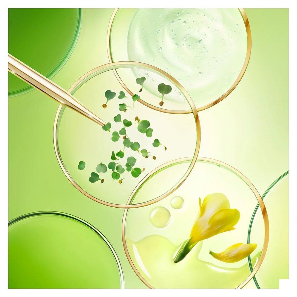 Boîtes de Pétri avec des plantules, de l'huile et une fleur jaune, pipette avec du liquide.