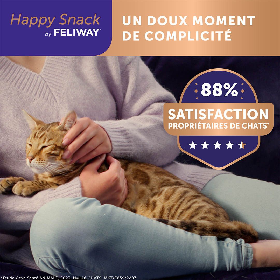 Chat sur les genoux d'une personne. Texte sur la satisfaction.