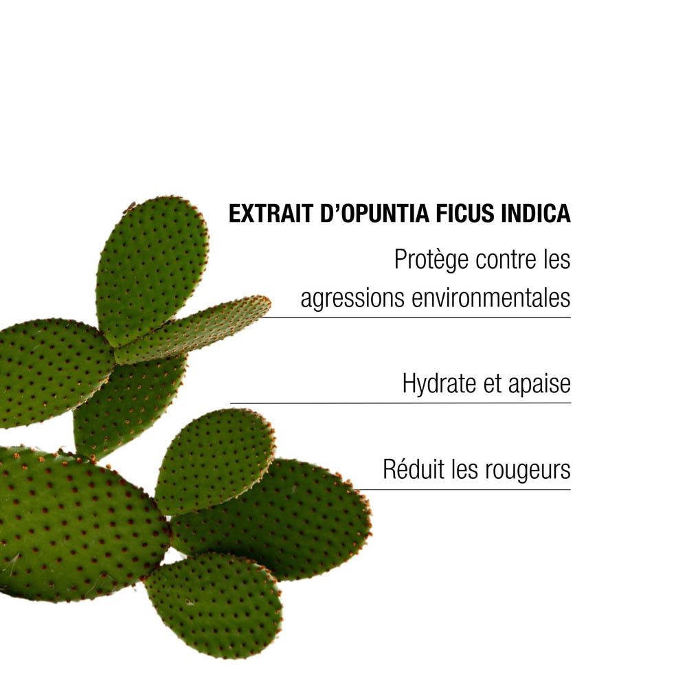 Emballage de la crème hydratante The Remedy Hydra+ avec nom du produit et ingrédients principaux.