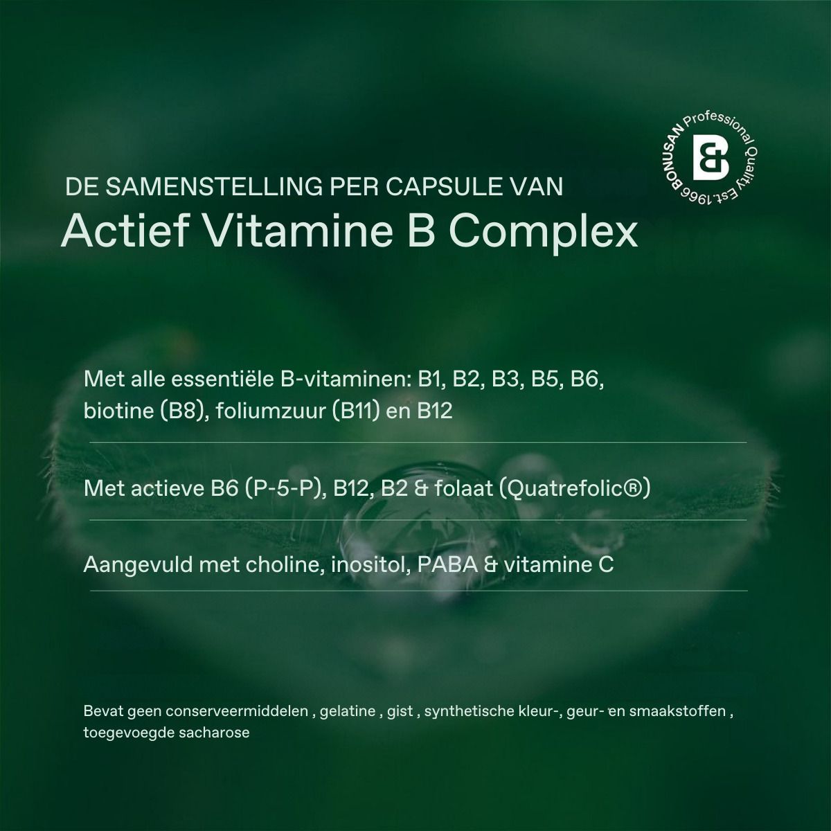 Composition par gélule: vitamines B, B1, B2, B3, B5, B6, biotine (B8), Foliumzuur (B11) et B12. Avec choline, inositol, PABA.