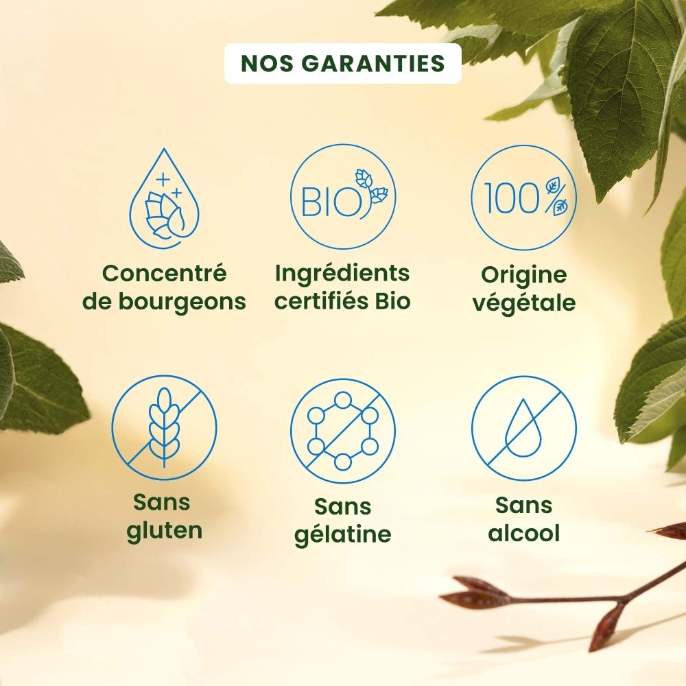 Six cercles avec des icônes et du texte décrivant "NOS GARANTIES", par exemple "BIO", "Sans gluten".