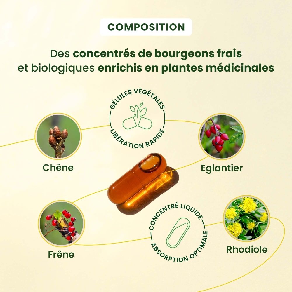 Six icônes avec texte, illustrant des caractéristiques de qualité comme 'Ingrédients Bio' et 'Sans Gluten'.