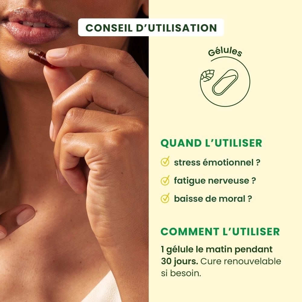 Graphique illustrant la composition des Gemmocaps avec des représentations de bourgeons et de plantes.