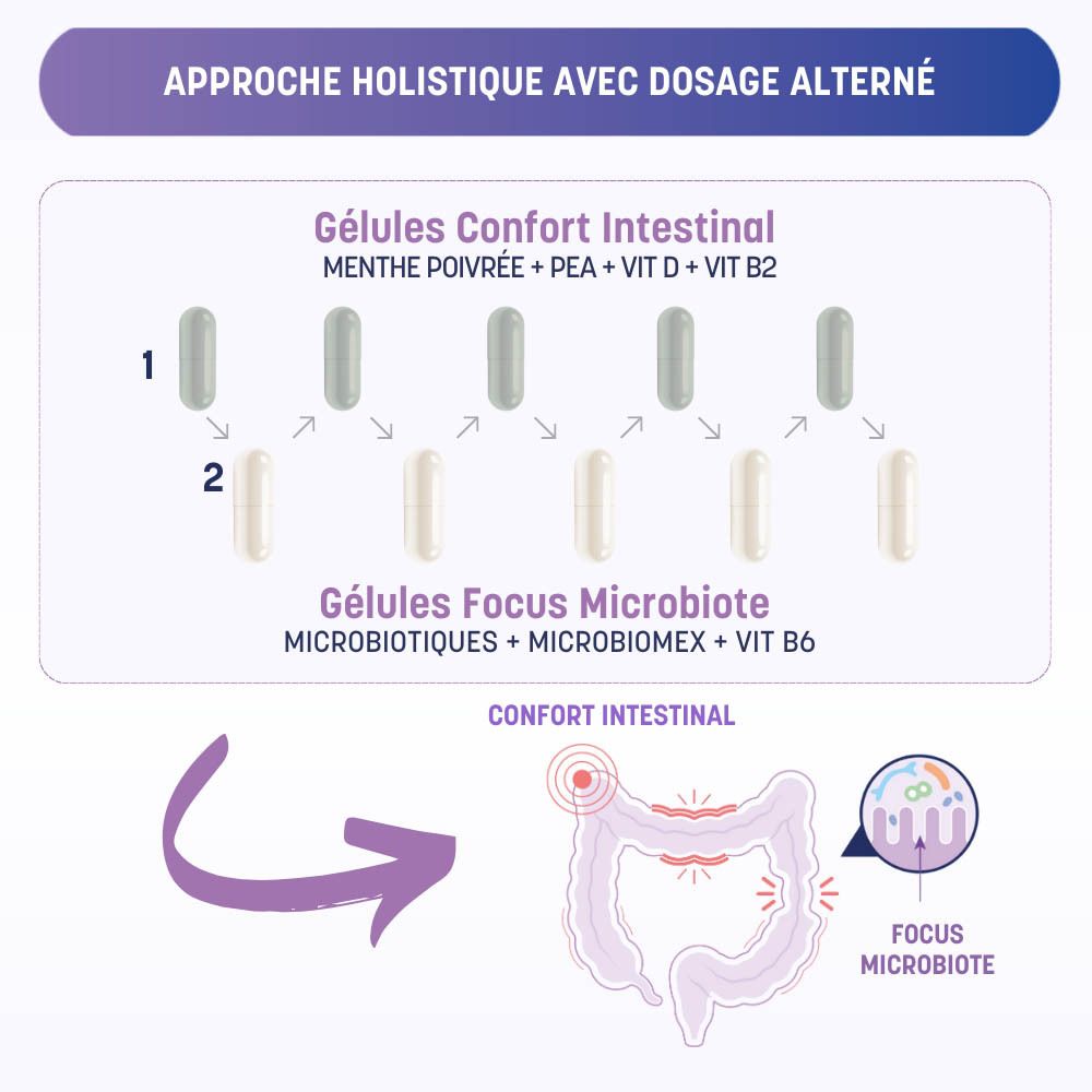 Infographie : approche holistique avec dosage alterné. Gélules et illustration de l'intestin.