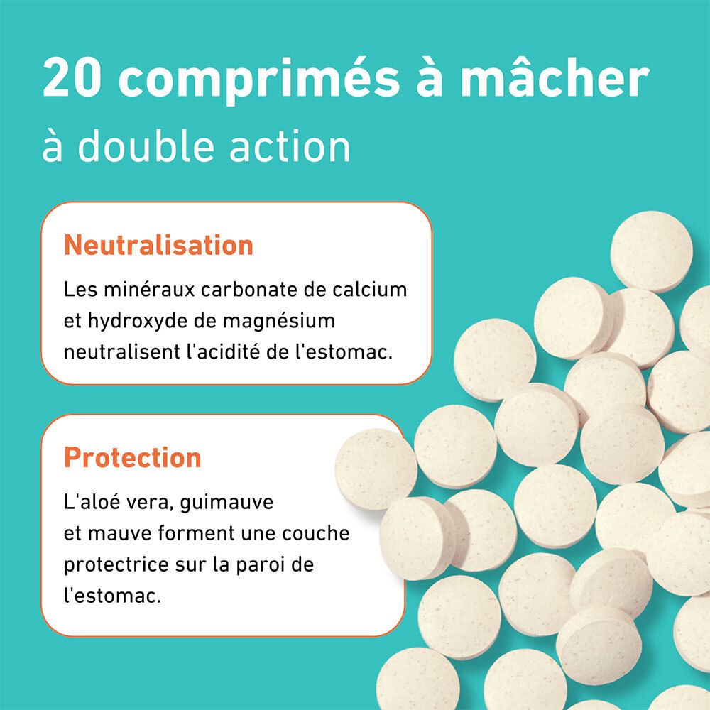 Infographie : 20 comprimés à mâcher. Carbonate de calcium et hydroxyde de magnésium neutralisent l'acidité.