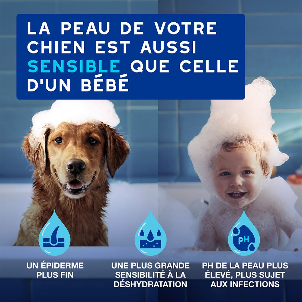 Chien sur fond bleu. Texte: Douxo Skin & Coat Spa. Le soin ultra-sûr pour votre chien.