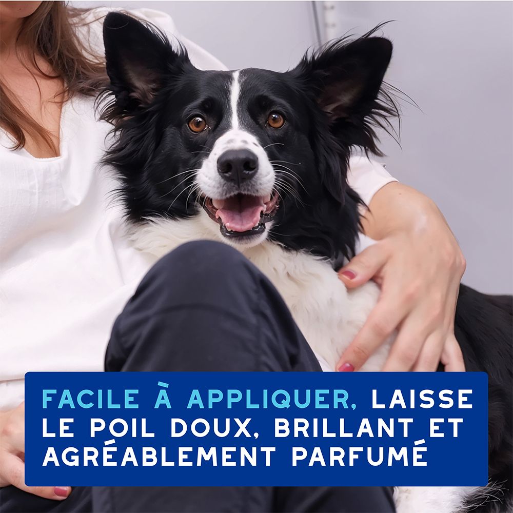 Produit sur fond blanc. Dos du flacon. Texte.