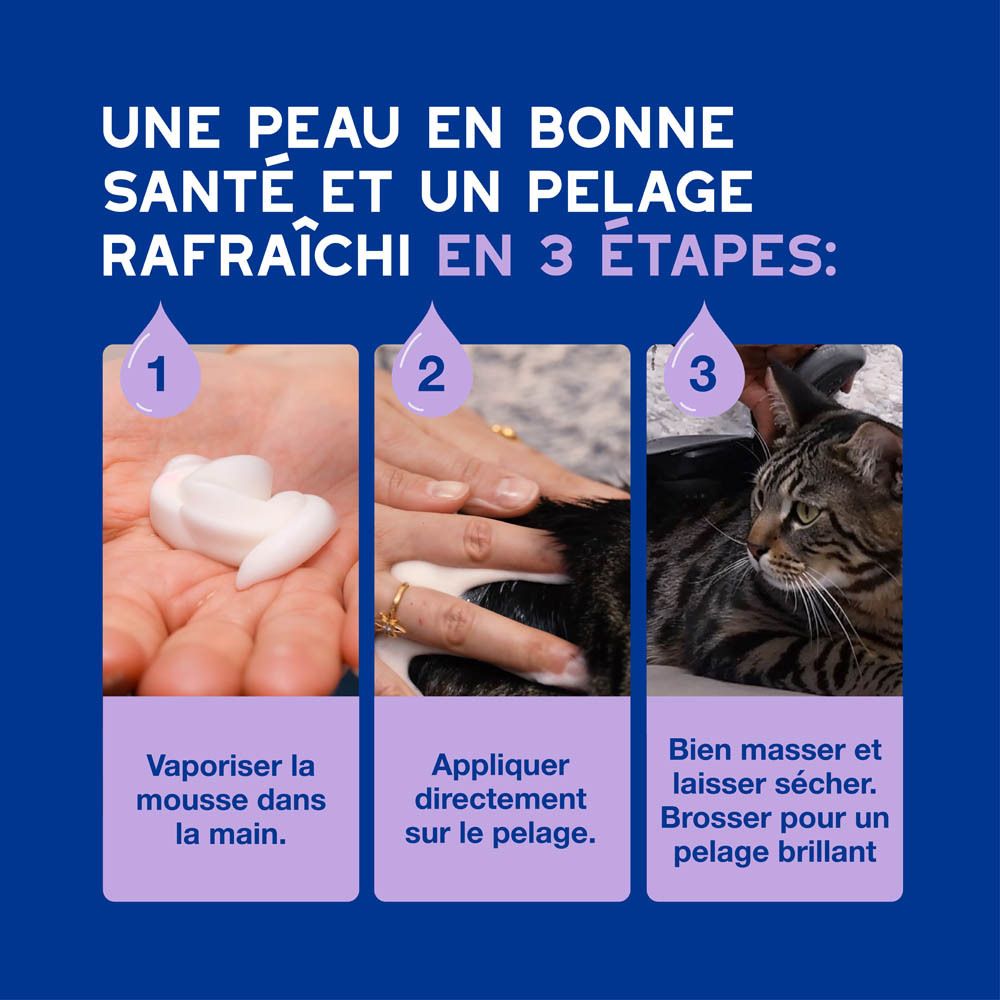 Trois étapes. Texte: Une peau en bonne santé et un pelage rafraîchi en 3 étapes: Vaporiser, Appliquer, Masser.