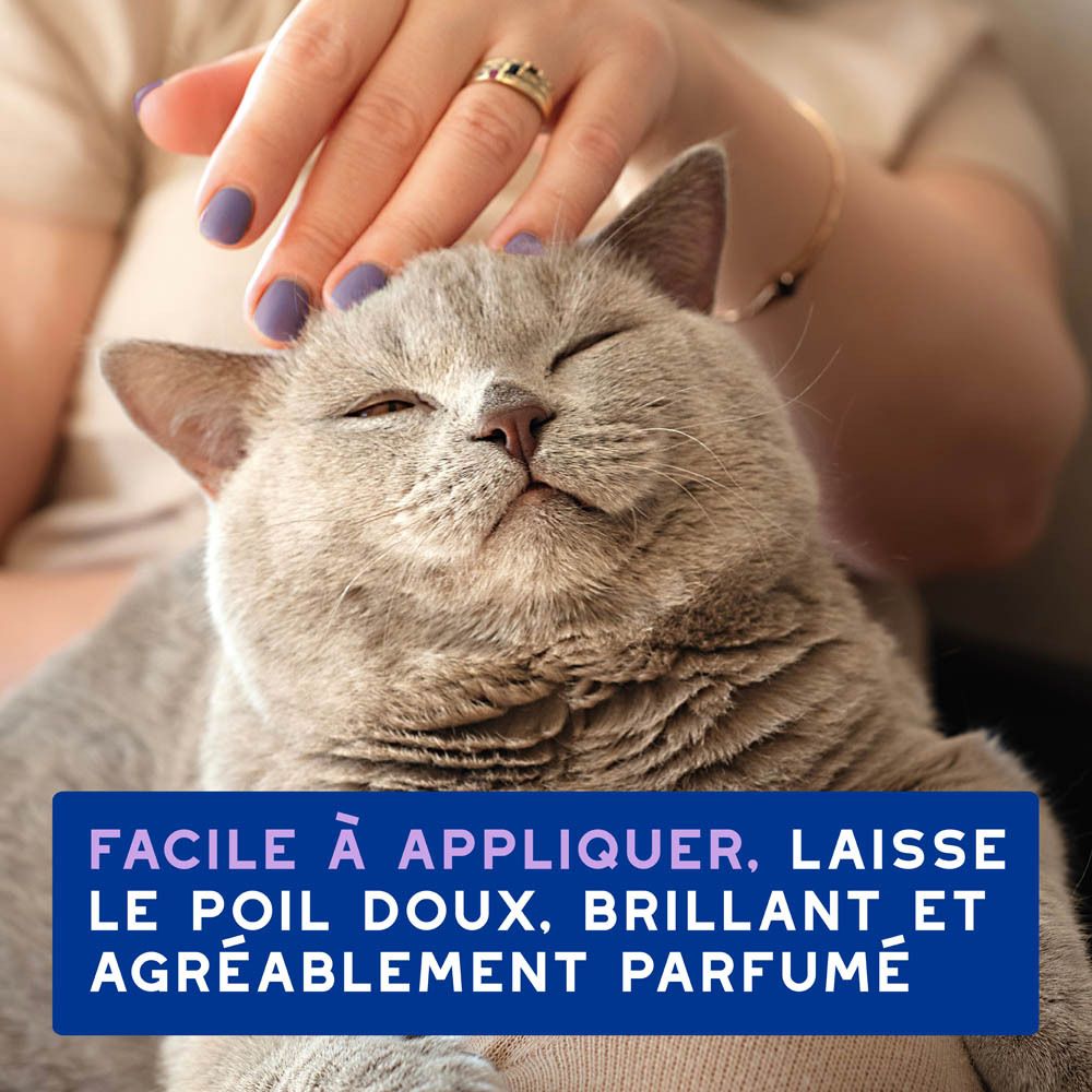Chat caressé. Texte: Facile à appliquer, laisse le poil doux, brillant et agréablement parfumé.