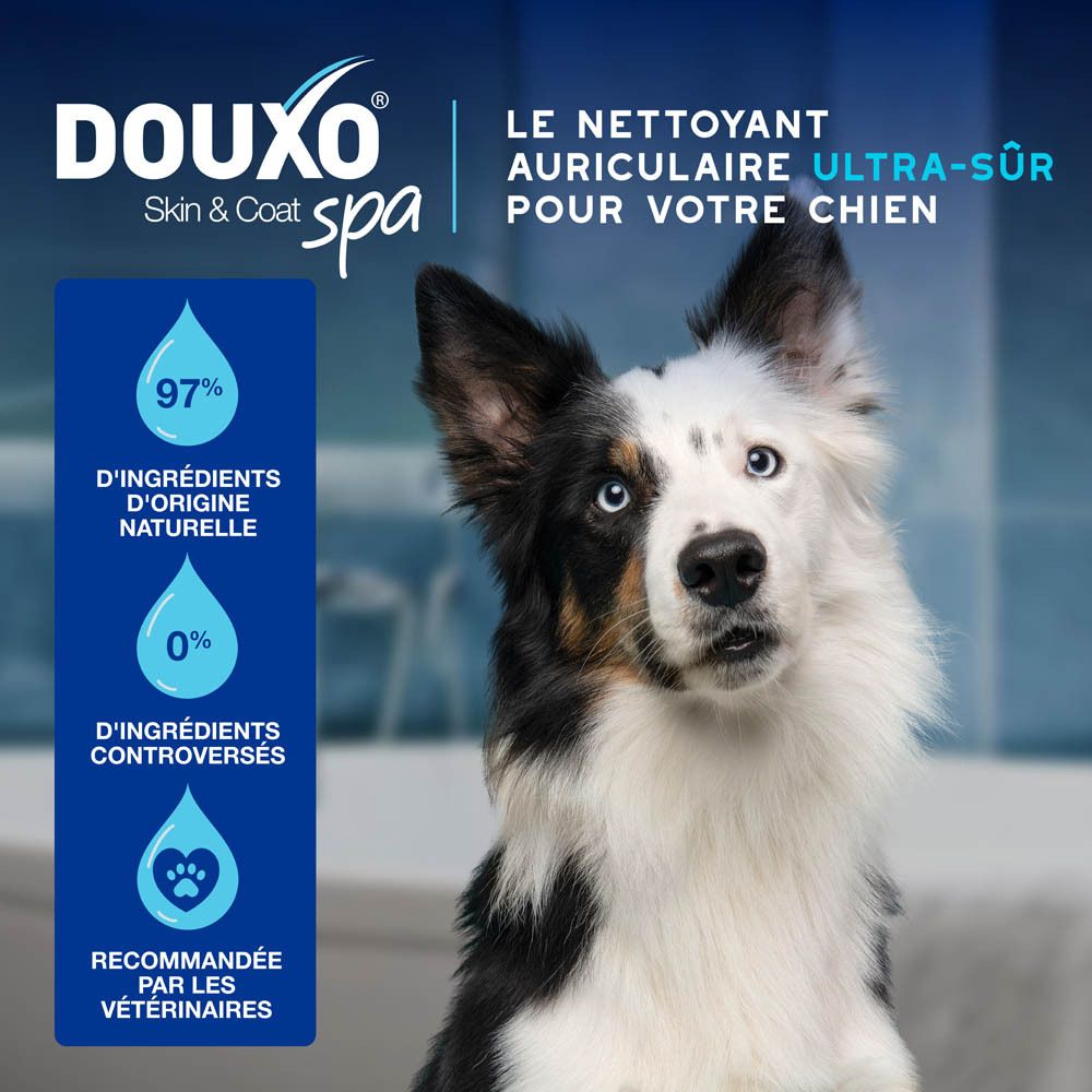 Chien avec gouttes. Texte: Nettoie en toute sécurité et en douceur l'oreille.