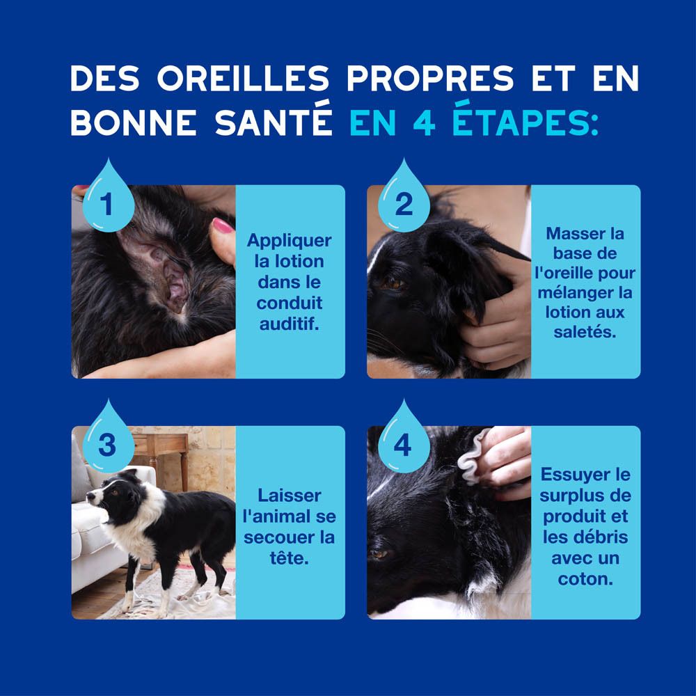 Chien avec gouttes. Texte: Nettoie en toute sécurité et en douceur l'oreille.