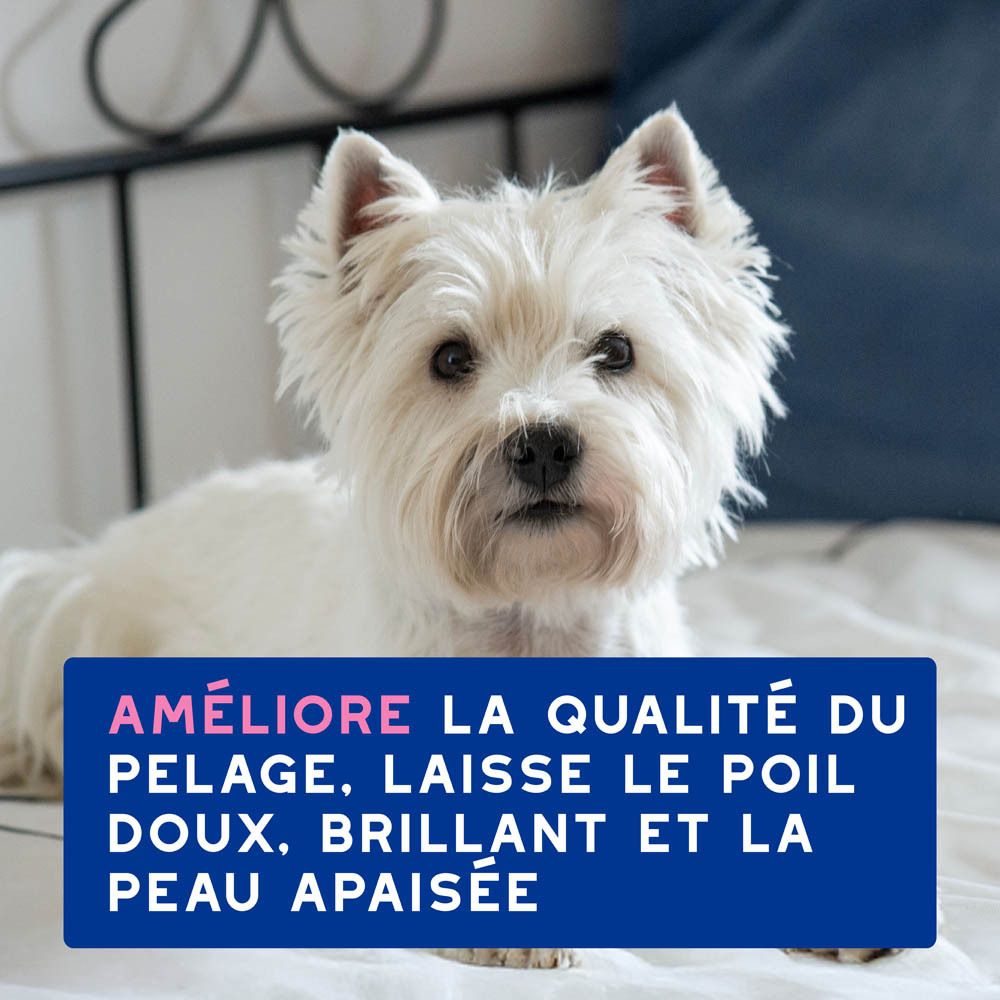 Routine complète de soins DOUXO Spa. Produits pour chiens.
