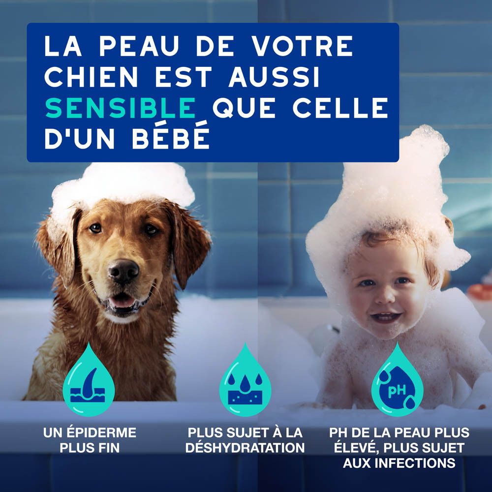 Chien dans une serviette. Texte : DOUXO Ultra-safe shampooing pour chien. 97% ingrédients naturels.