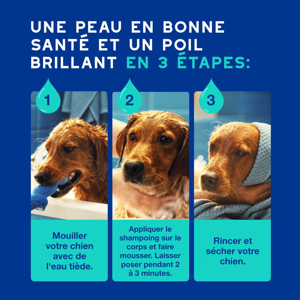 Chien sur un canapé bleu. Texte : Améliore la qualité du pelage, le laissant frais et parfumé.