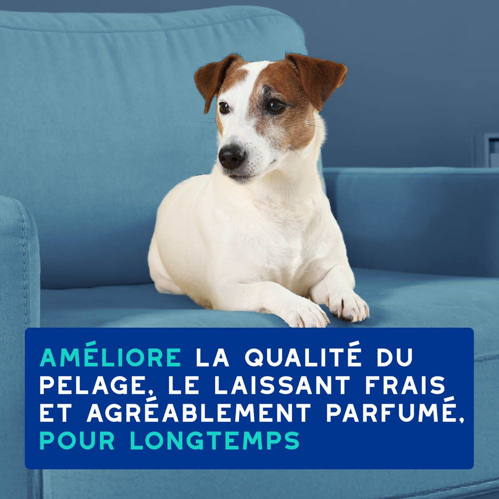 Différents produits sur des socles. Texte : Une routine de soin complète DOUXO.