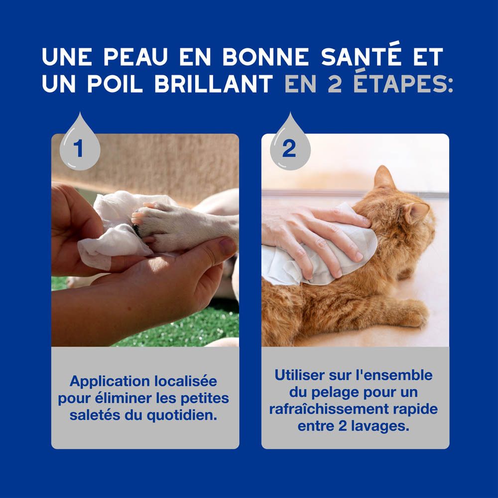 Mains utilisant des lingettes sur chat et chien. Texte : Peau et poil sains.
