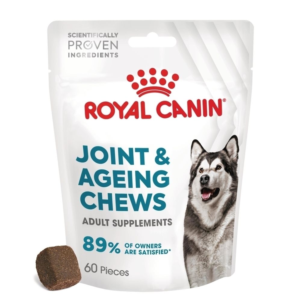 Sachet Royal Canin pour suppléments articulaires et vieillissement, avec image de chien et une friandise.