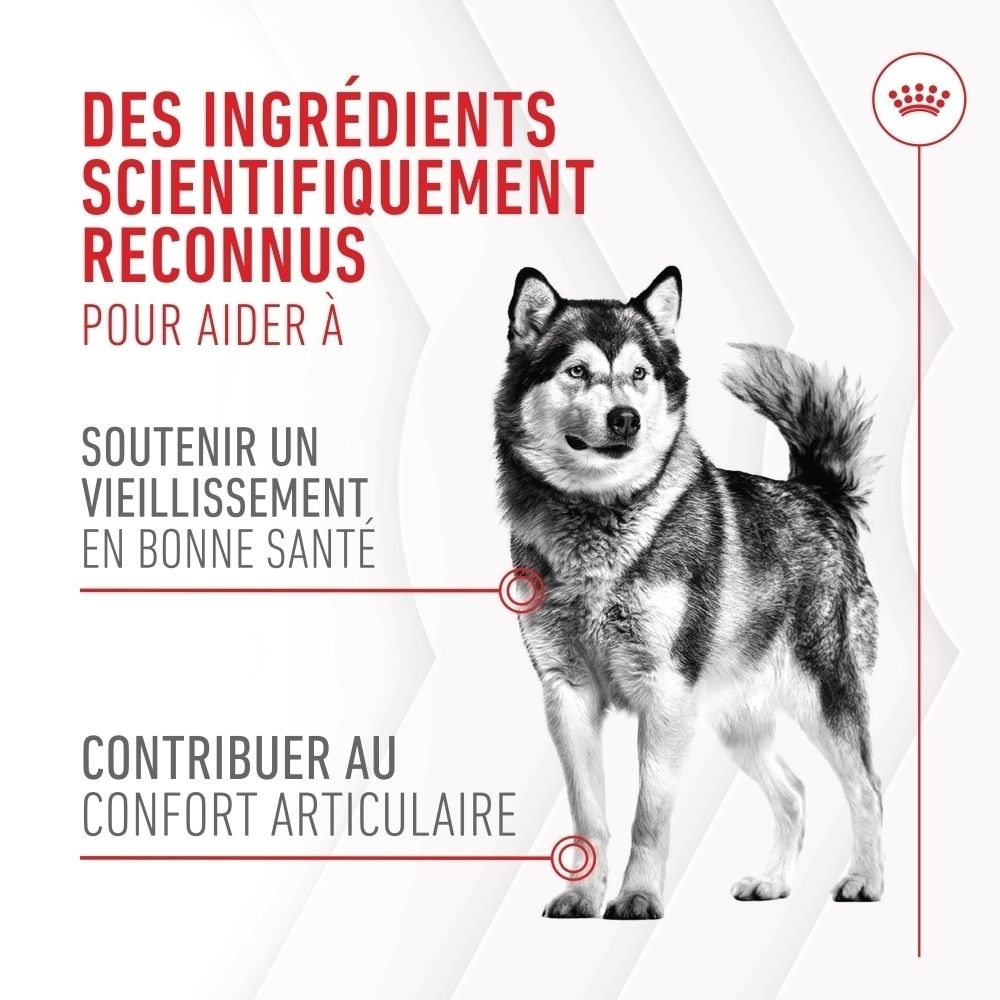 Sachet Royal Canin pour suppléments articulaires et vieillissement, avec image de chien et texte sur ingrédients.