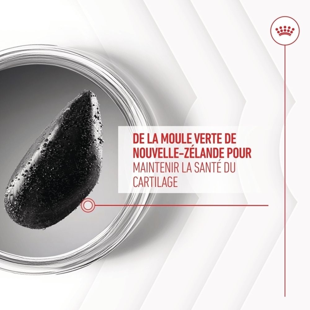 Sachet Royal Canin pour suppléments articulaires et vieillissement, avec image de chien et texte sur ingrédients.