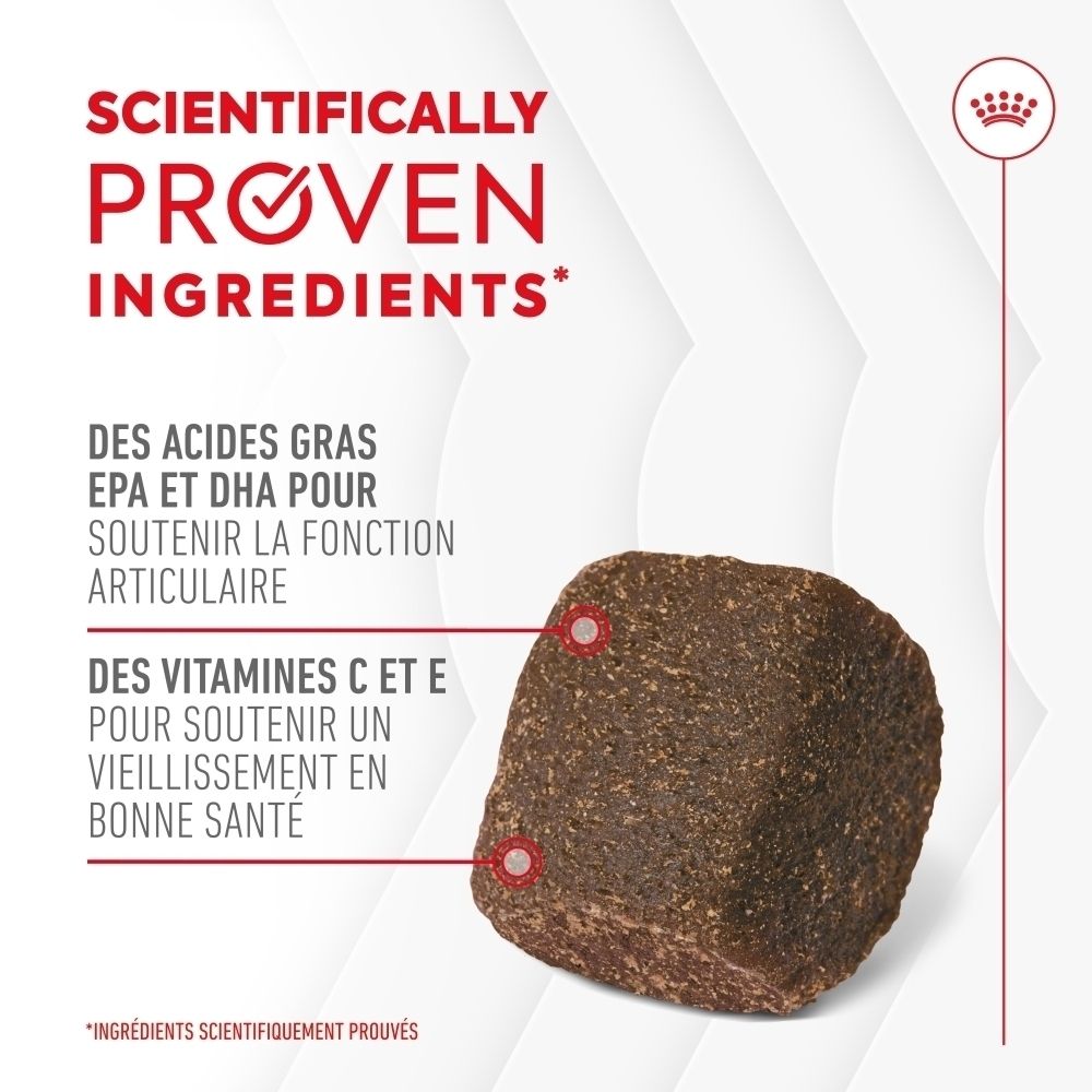 Sachet Royal Canin pour suppléments articulaires et vieillissement, avec image de chien et texte sur ingrédients.