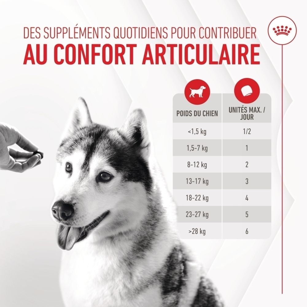 Sachet Royal Canin pour suppléments articulaires et vieillissement, avec image de chien et texte sur ingrédients.