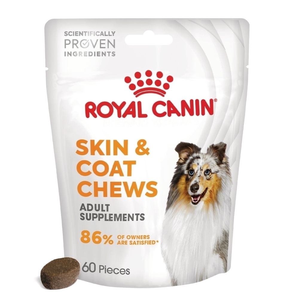 Sachet Royal Canin Skin & Coat Chews avec image de chien et informations produit.